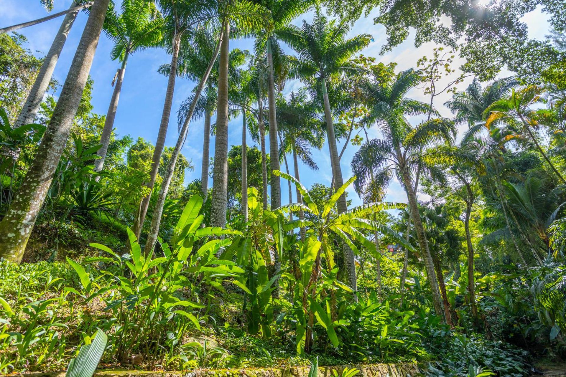 Cabanas Do Bosque إلهابيلا المظهر الخارجي الصورة
